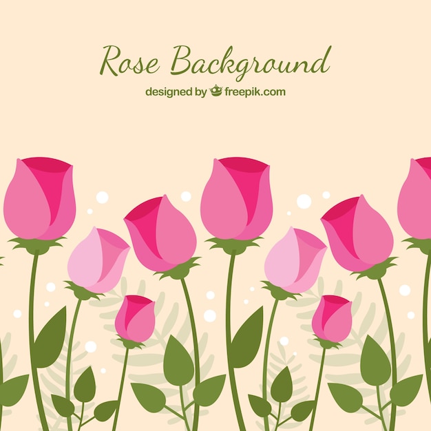 Flat background with pink flowers