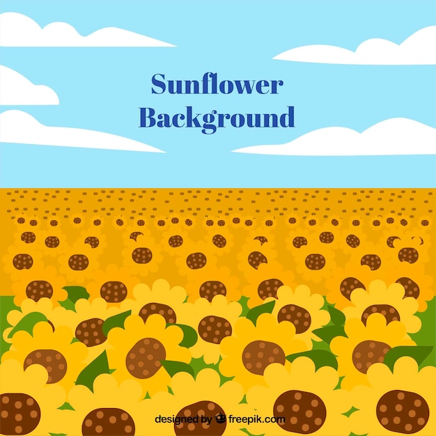 Flat background with sun flowers