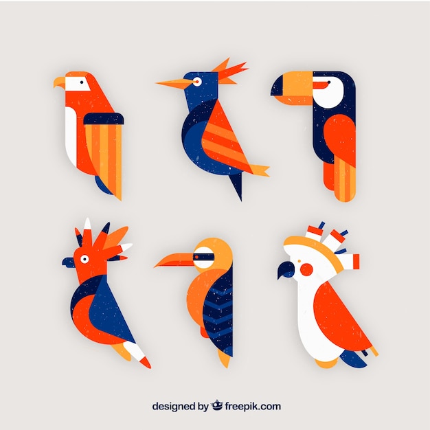 Flat birds collection