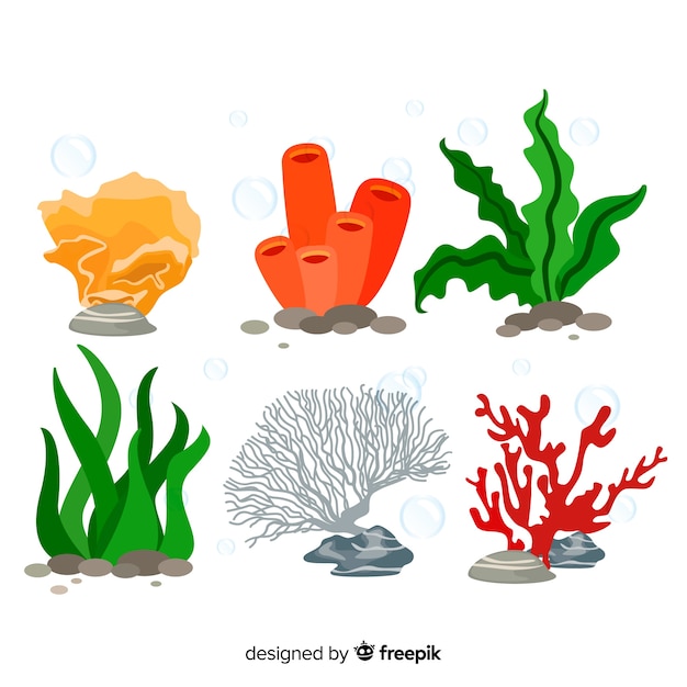 Flat coral collection Vector | Free Download