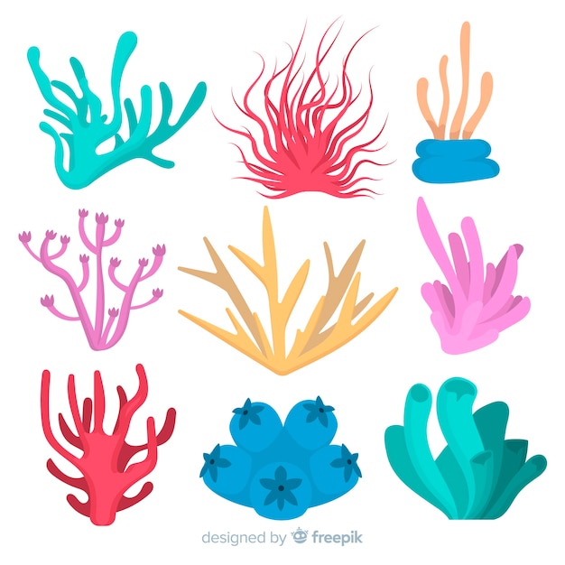 Free Vector | Flat coral collection