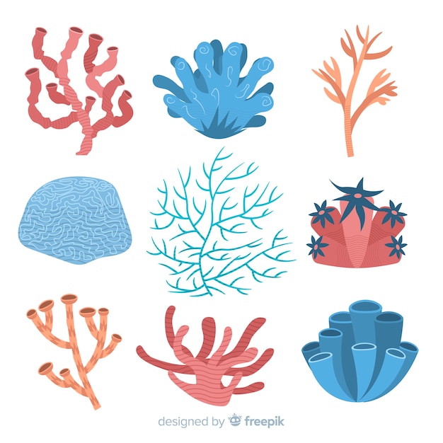 Free Vector | Flat coral collection