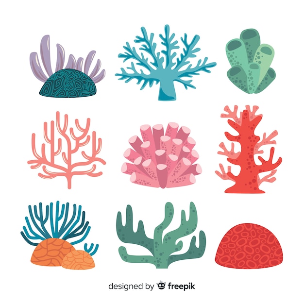 Flat coral collection | Free Vector