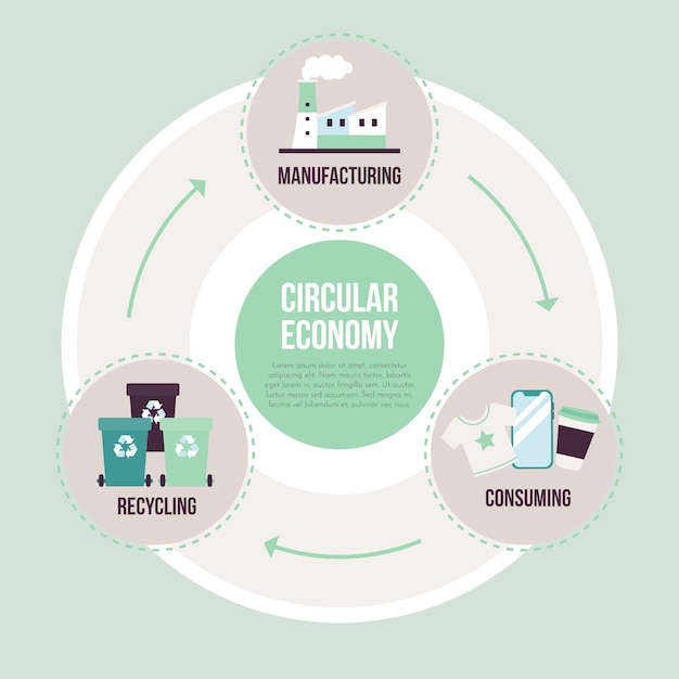 Free Vector | Flat Design Circular Economy Infographic