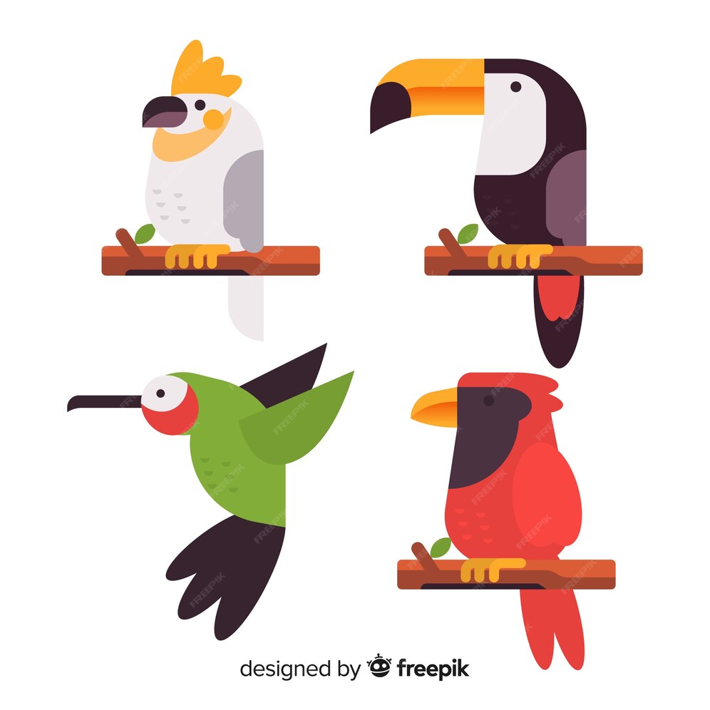 Free Vector | Flat design exotic birds collection