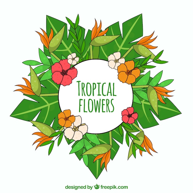 Flat design exotic tropical flowers\
background
