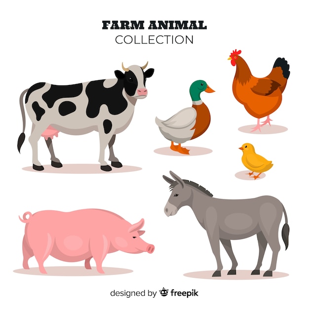 Download Free Hen Farm Free Vectors Stock Photos Psd Use our free logo maker to create a logo and build your brand. Put your logo on business cards, promotional products, or your website for brand visibility.