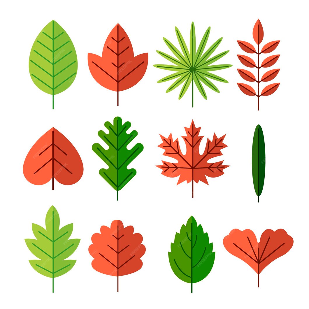 Free Vector | Flat design of leaves collection