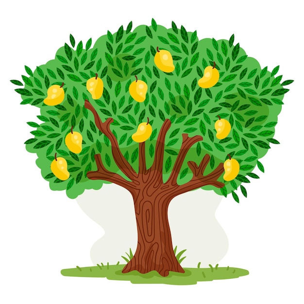 Premium Vector | Flat design mango tree