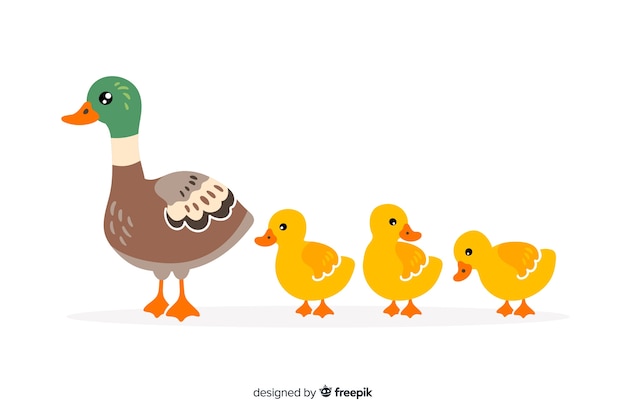 Download Premium Vector | Flat design mother duck and ducklings