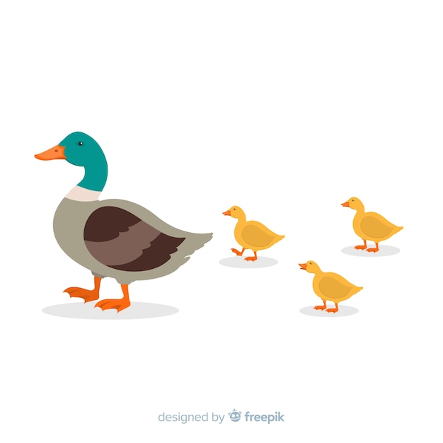 Flat design mother duck hand drawn Vector | Free Download