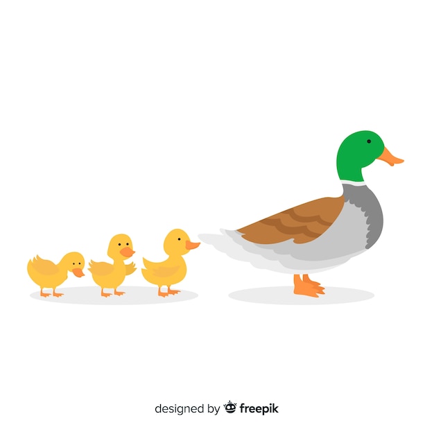 Premium Vector Flat Design Mother Duck And Her Ducklings