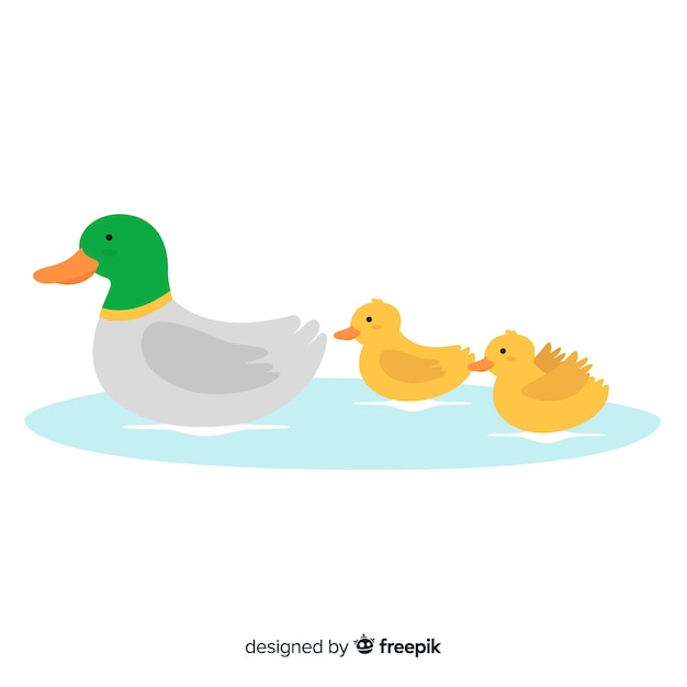 Download Flat design mother duck and her little ducklings Vector ...