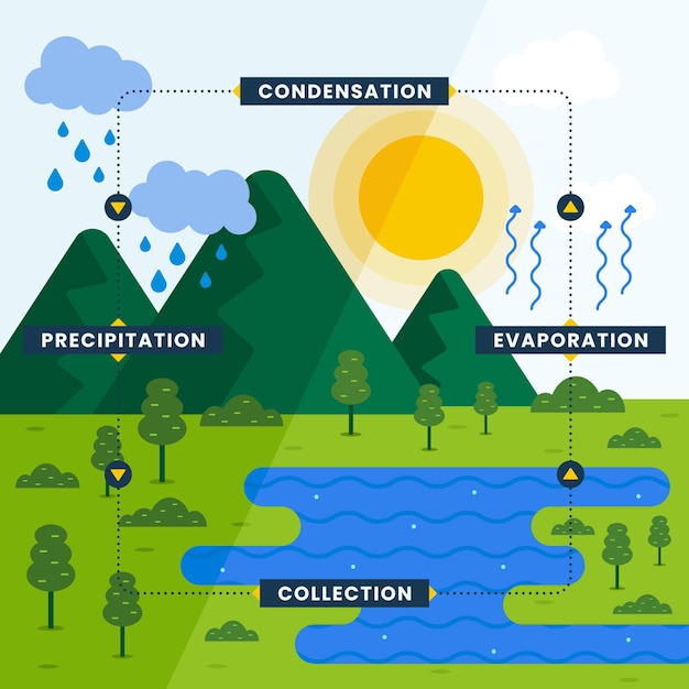 Free Vector | Flat design water cycle