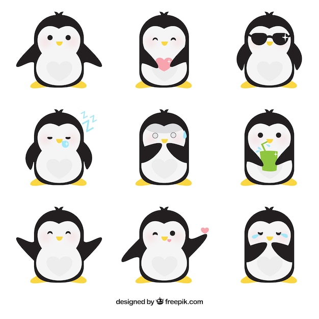 Download Flat emoticons of fantastic penguin Vector | Free Download