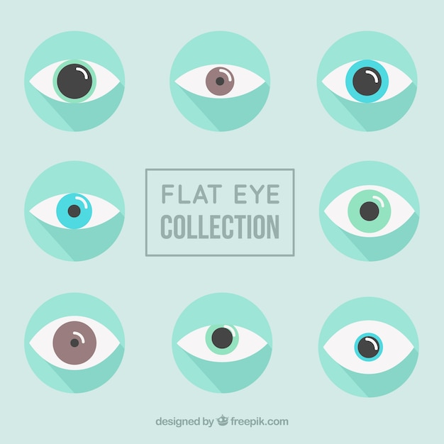 Free Vector | Flat eyes with different colors