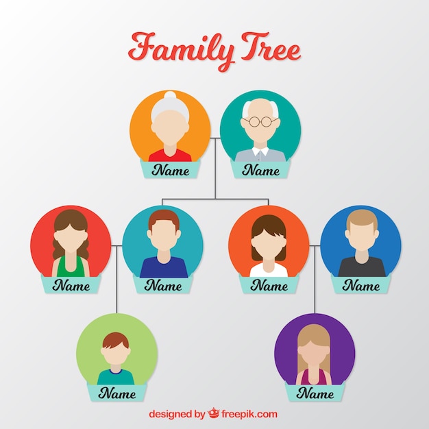 Flat family tree with colored circles in flat design | Free Vector