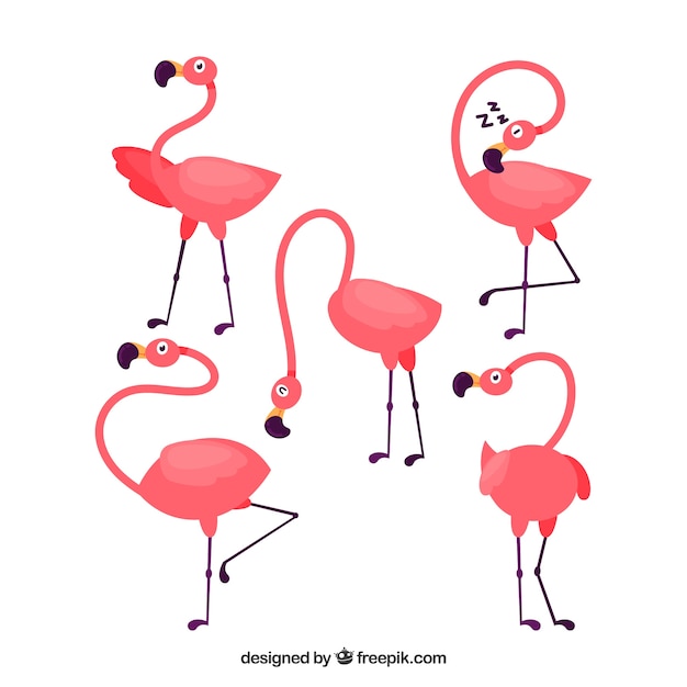 Free Vector | Flat flamingos collection in different poses