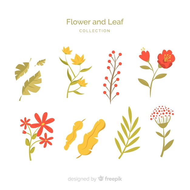 Flat flower and leaf collection | Free Vector