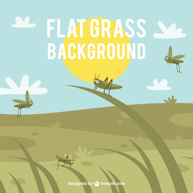 Flat grassy background with crickets