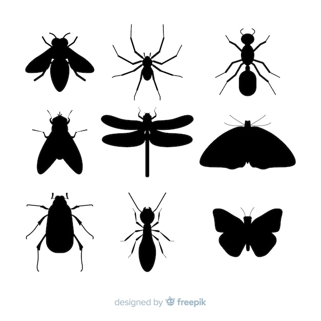 Flat insect silhouette collection Free Vector