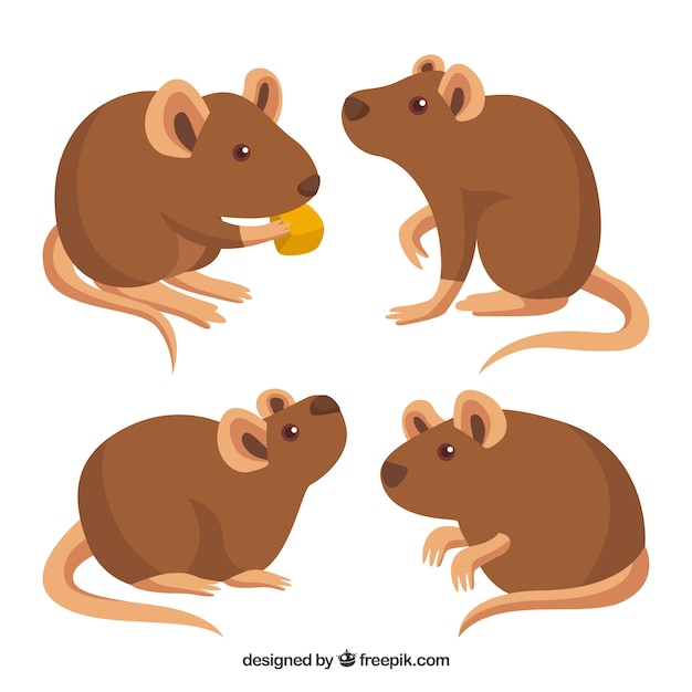 Free Vector | Flat mice collection with different poses