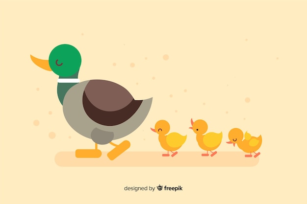 Flat mother duck and ducklings on empty background Free Vector