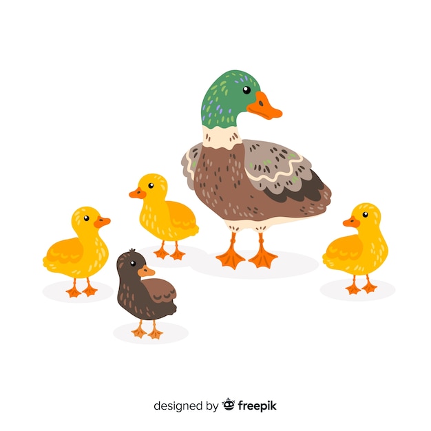 Flat mother duck and ducklings hand drawn Vector | Free Download