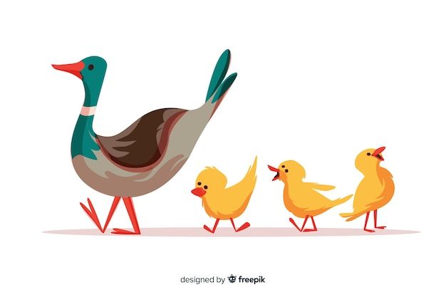 Download Flat mother duck and ducklings outside Vector | Free Download