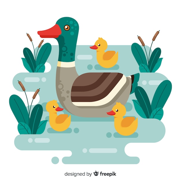 Download Flat mother duck and ducklings on water Vector | Free Download