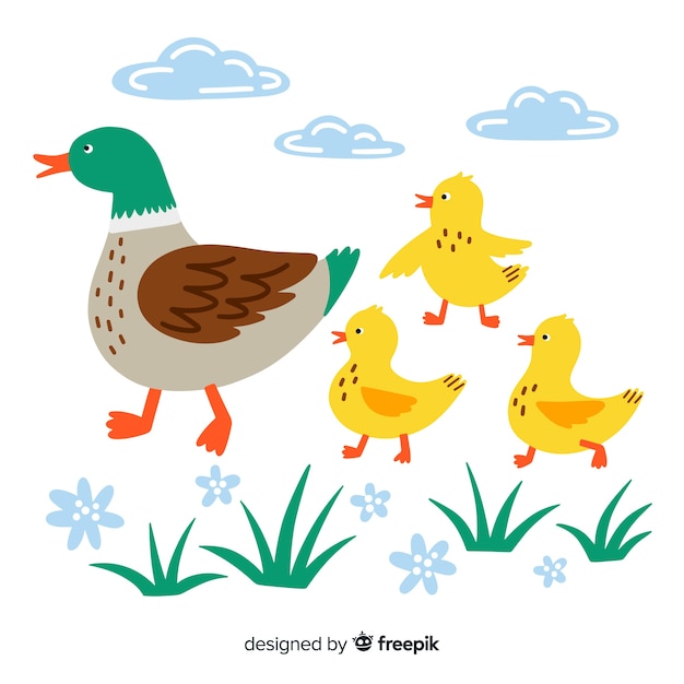 Download Flat mother duck and ducklings Vector | Free Download