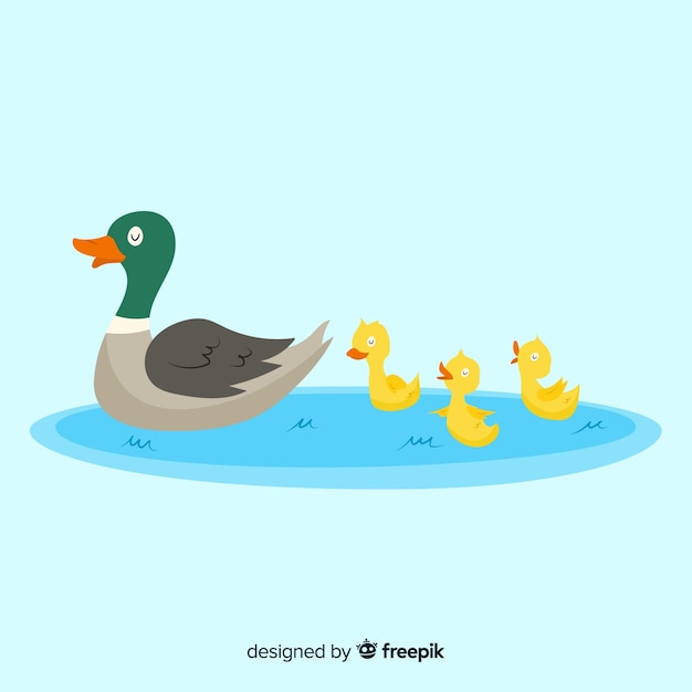 Download Flat mother duck in puddle Vector | Free Download