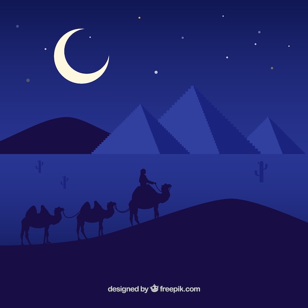 Ночной пейзаж с верблюдами. Flat night