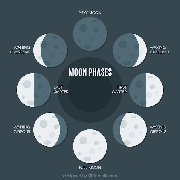 Flat pack of great moon phases Free Vector