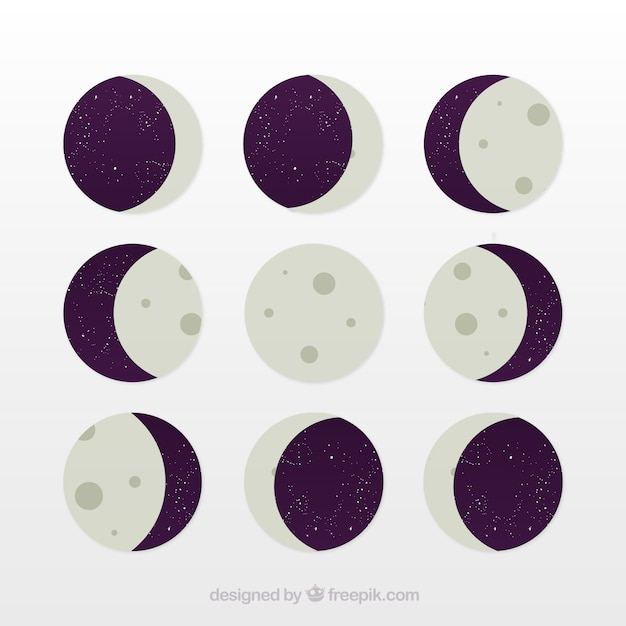 Flat pack of nine moon phases in flat design Vector | Free Download