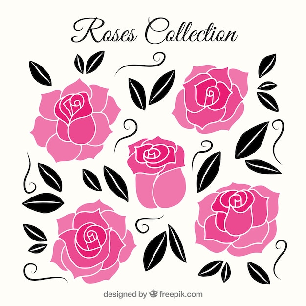 Flat pack of roses in pink tones