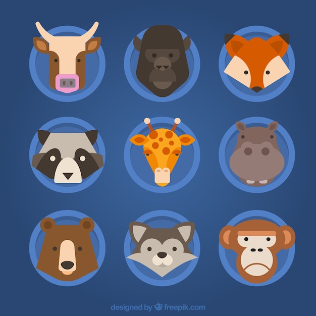 Free Vector | Flat set of great animal's faces