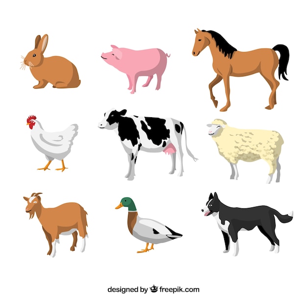 tame animals clipart photos