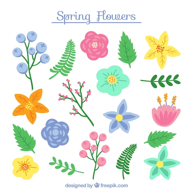Free Vector | Flat spring flower collection