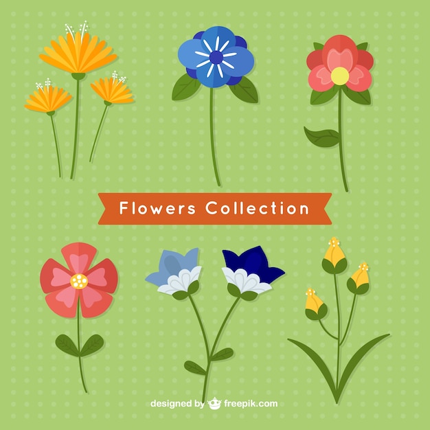 Flat spring Flowers Collection