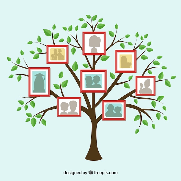 Flat tree with frames on the wall Free Vector