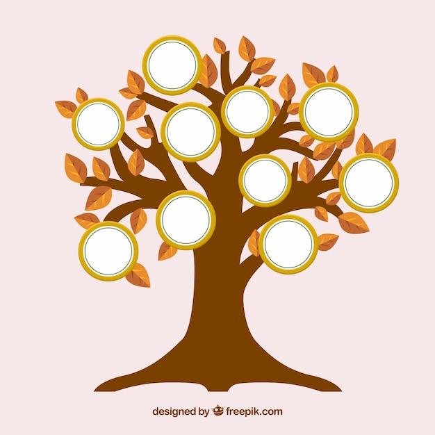 Free Vector | Flat tree with photo frames on the wall