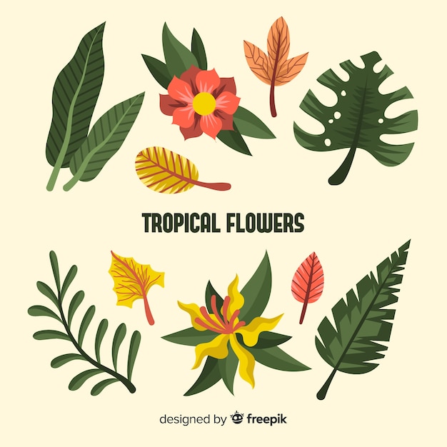 Download Flat tropical flowers and leaves | Free Vector