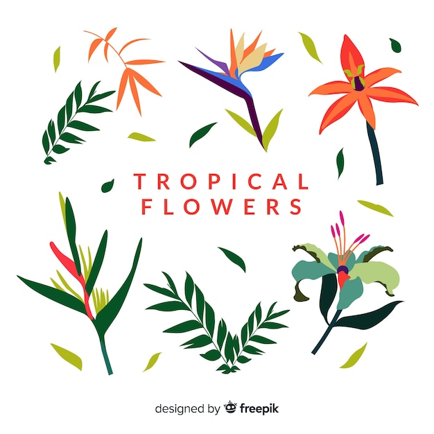 Free 226 Tropical Flower Svg Simple SVG PNG EPS DXF File
