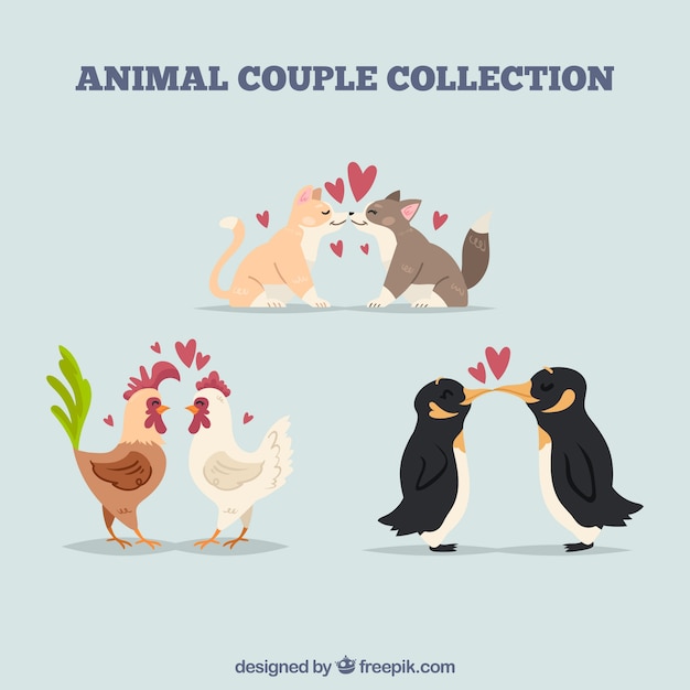 Flat valentine's day animal couples
collection