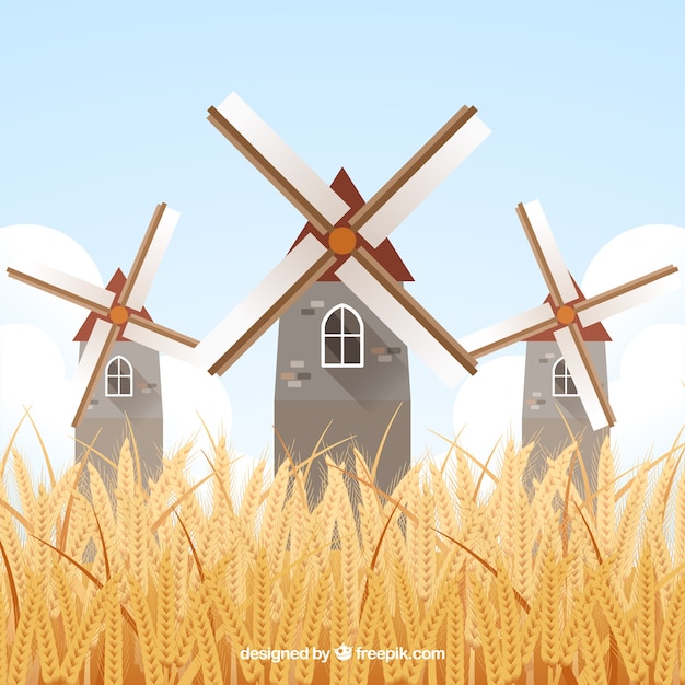 Flat wheat background Free Vector