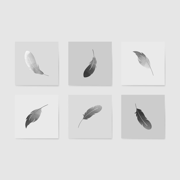 Floating feathers set Free Vector