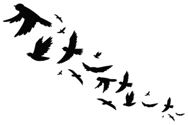 飛んでいる鳥の移行の黒いシルエットの群れ 分離したベクトル図です プレミアムベクター