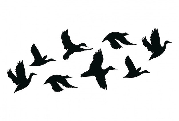 プレミアムベクター アヒルの群れ 漫画の鳥の群れ 飛ぶ鳥のイラスト