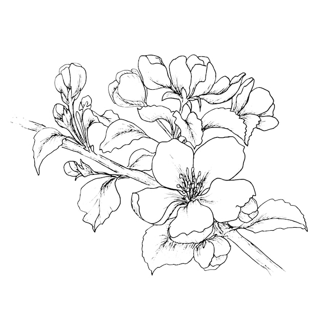 flower clipart black and white vector free download - photo #13